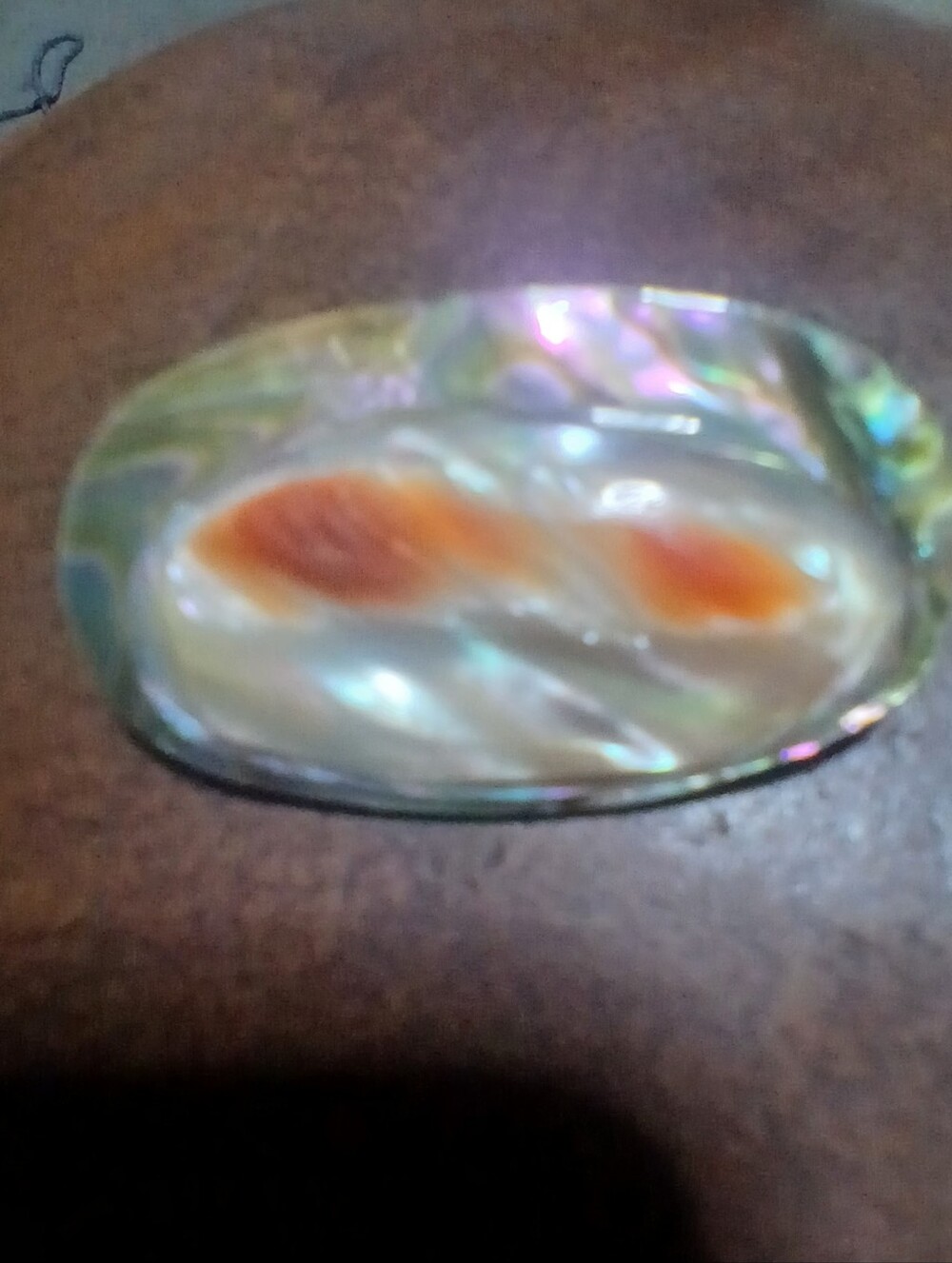 Vintage Abalone Pearl Blister Brooch